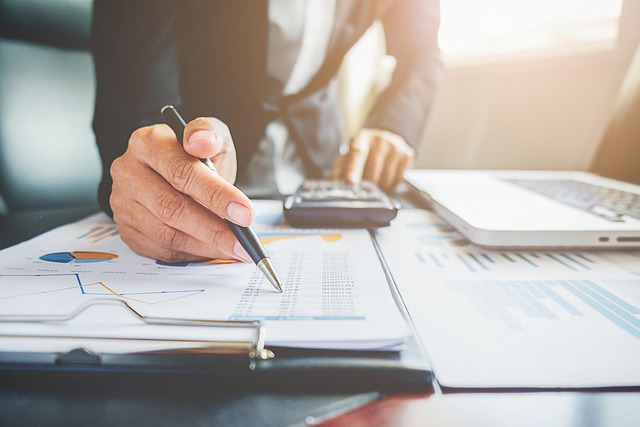 Detailed Profit & Loss Statement and Financial Reports for Small Businesses in Gilbert, AZ